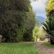 La Tenuta Sacone - Perti